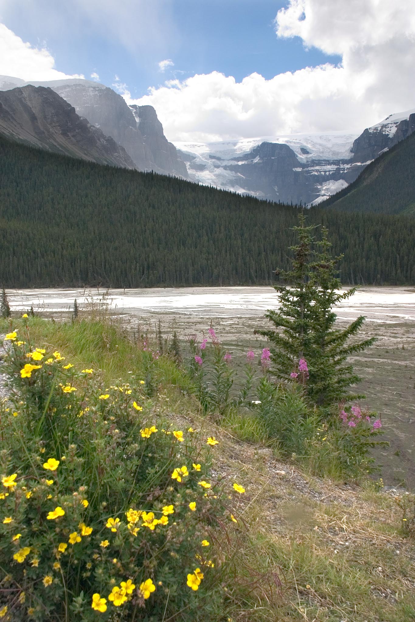 Stutfield Glacier